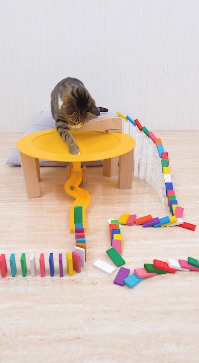 穴に落ちていくボールを捕まえようとするキジ白猫