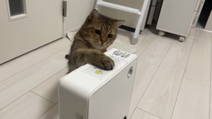 みにらくんがタッチ