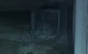 捕獲機のアップ