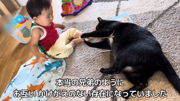 猫じゃらしで遊ぶ猫と赤ちゃん