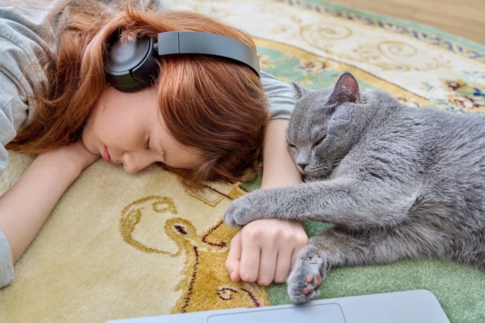 飼い主の顔近くで一緒にうたた寝する猫