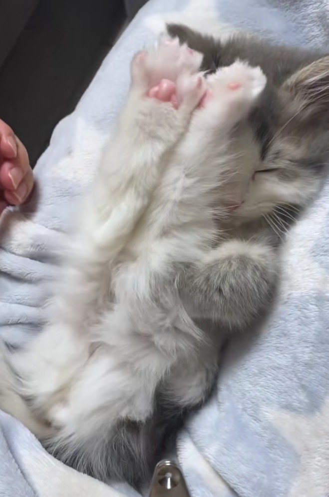 足で顔を隠すさっくん