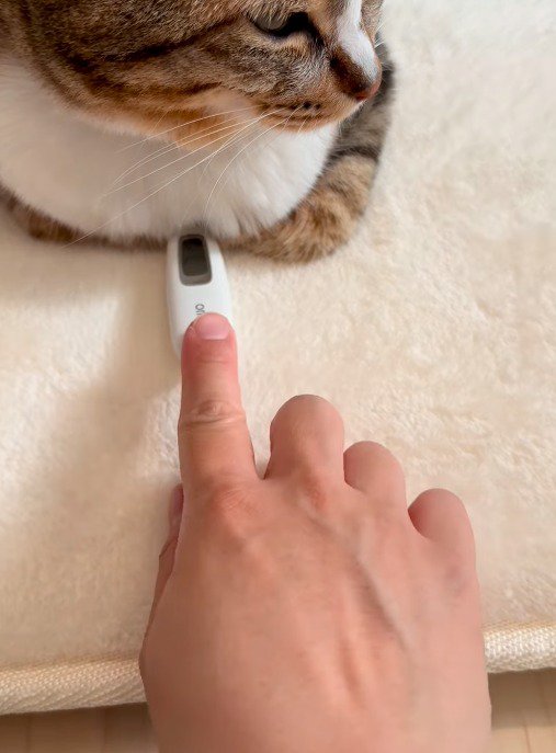体温計の位置を調節する飼い主