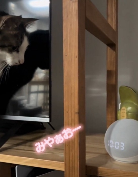 ビックリして固まるノアくん