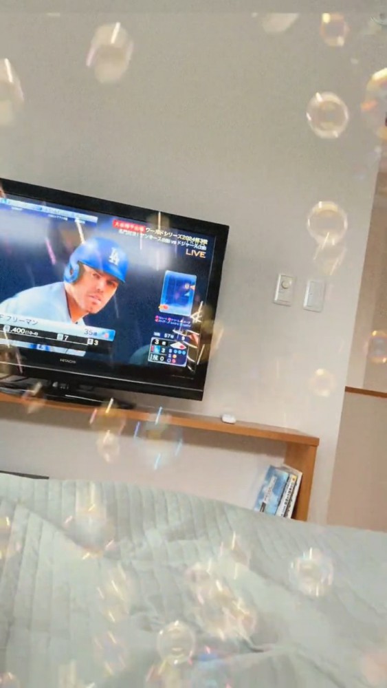 猫さんが観ているテレビ