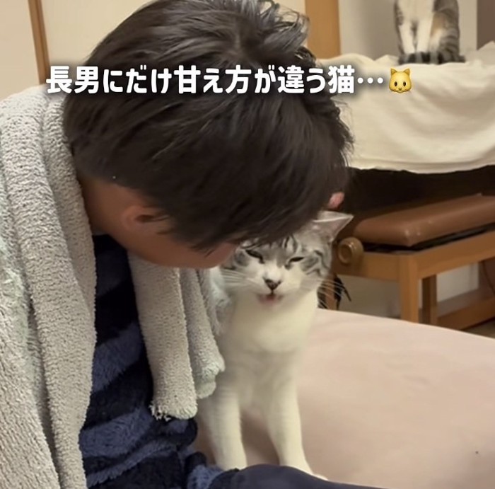 長男くんに頭を撫でられる保護猫