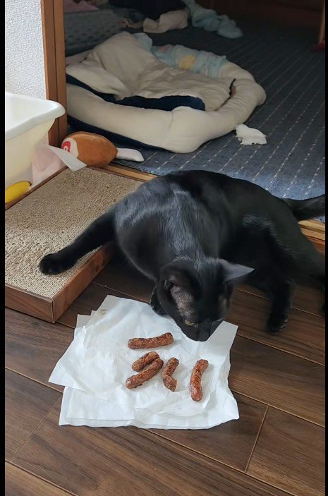 かりんとうの匂いを嗅いでいる猫