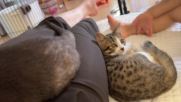 眠そうなむぎくん