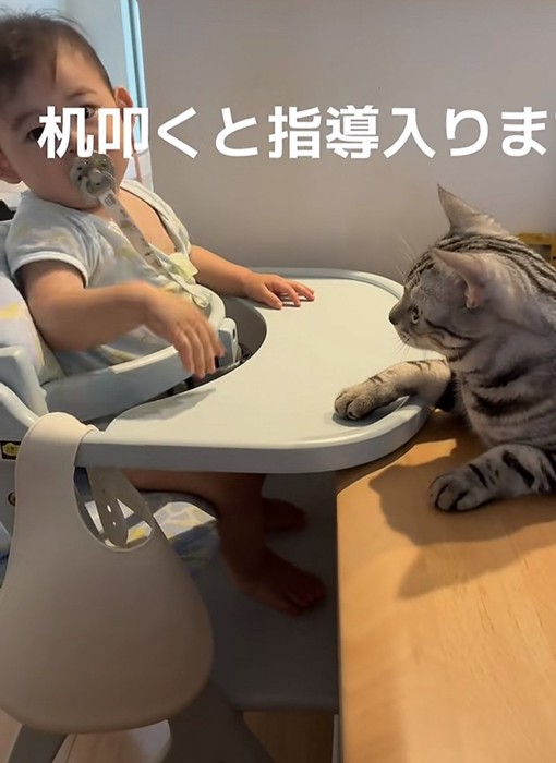 赤ちゃんと猫の写真3