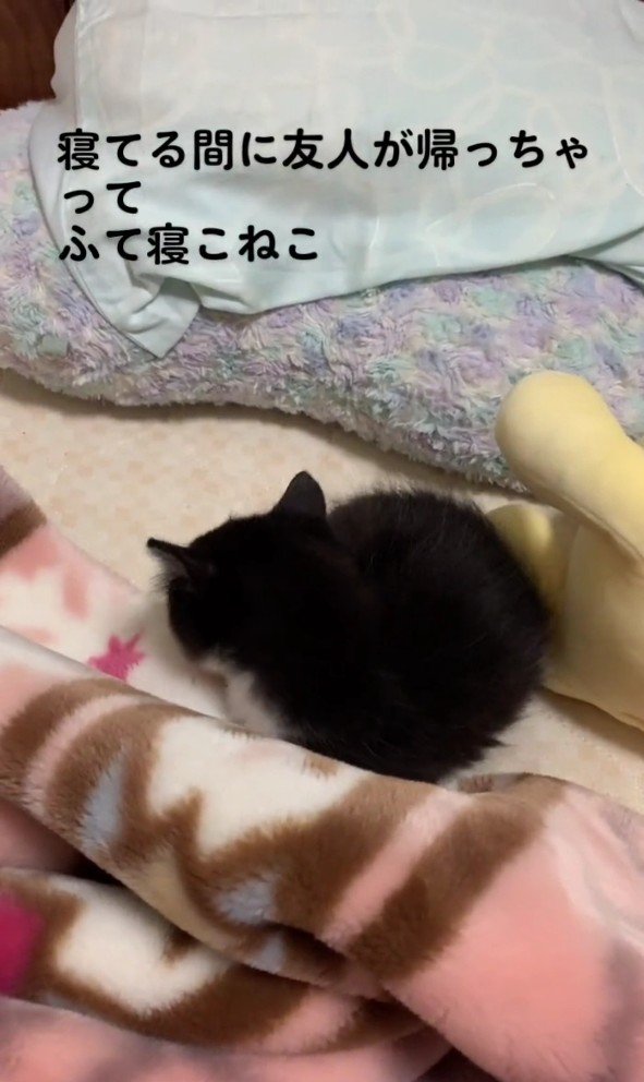 拗ねているねむちゃん