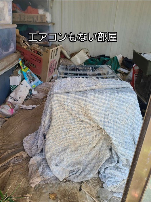 布がかけられたケージ