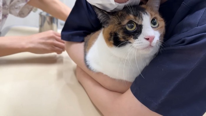 抱きしめられながら