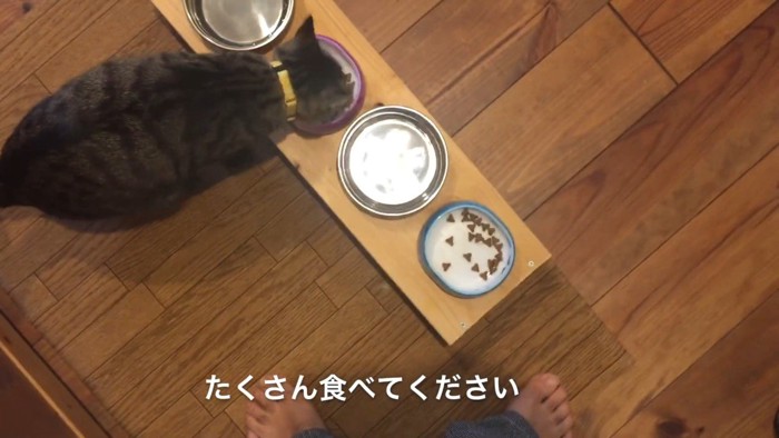 たくさん食べてください