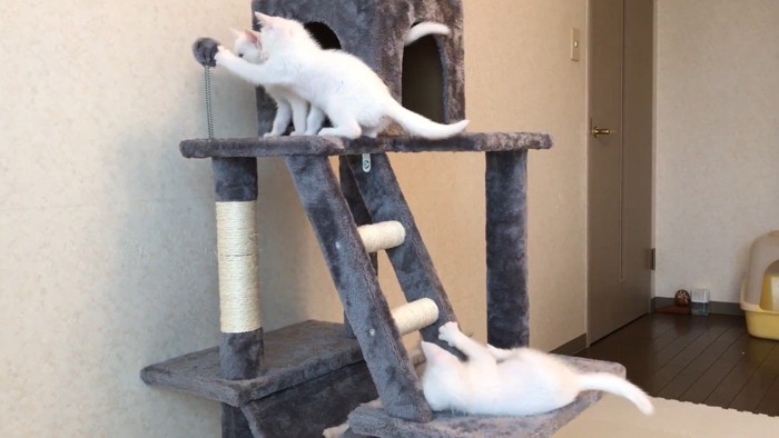 おもちゃにパンチ