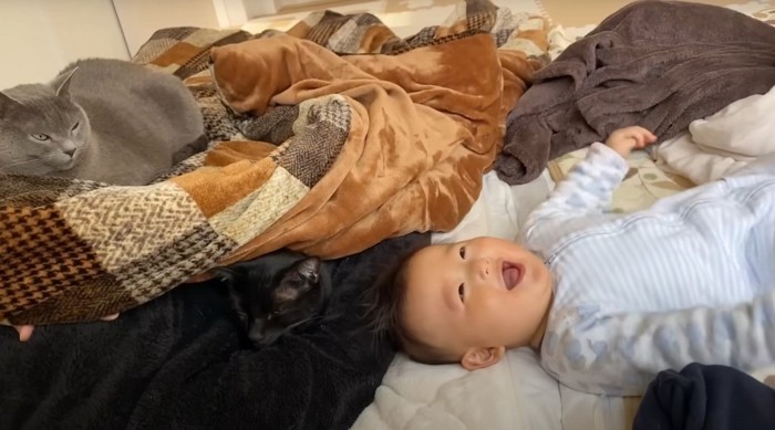 猫2匹と子ども