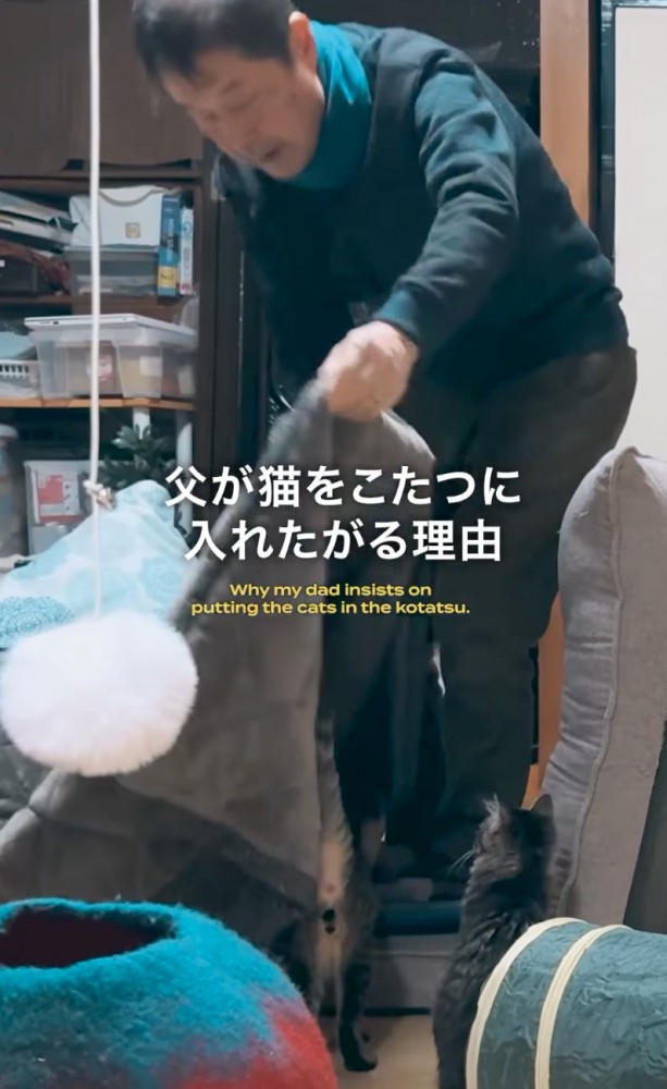 2匹をこたつに入れるお父さん%2匹をこたつに入れたがるお父さん…その理由は?