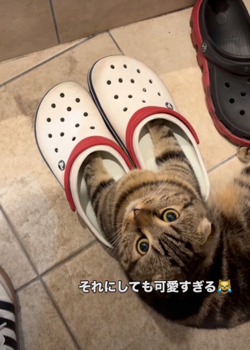 上アングル