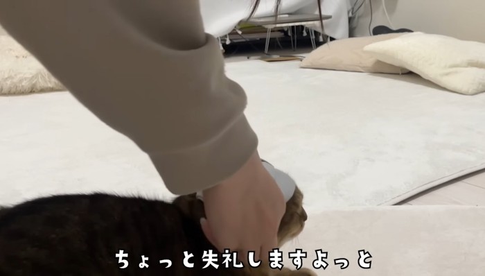 失礼しますよっと