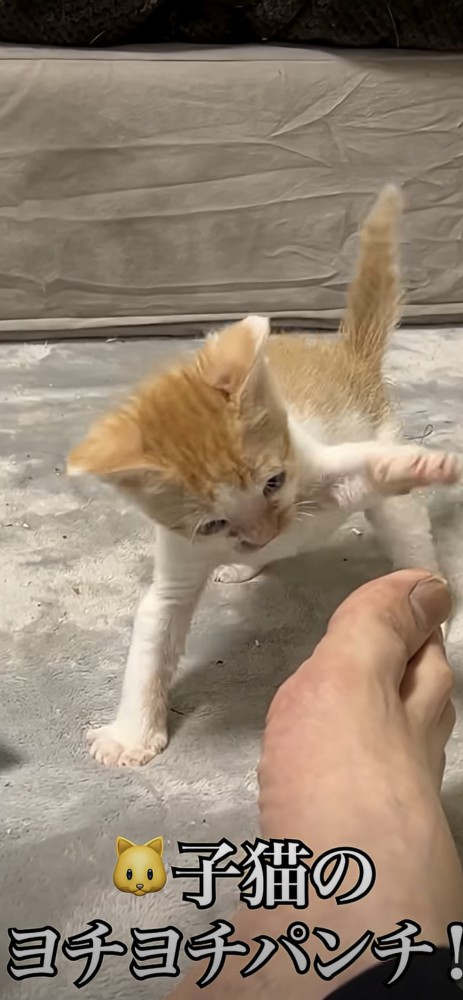 渾身のパンチ
