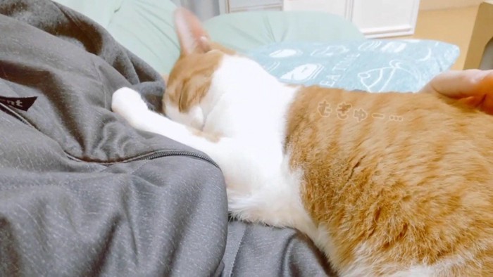 目を瞑ったお顔