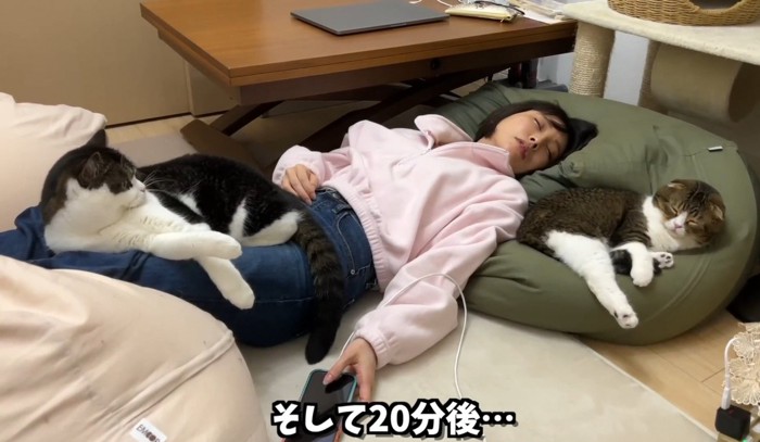 眠る女性の上に乗る猫とクッションの上で寝る猫