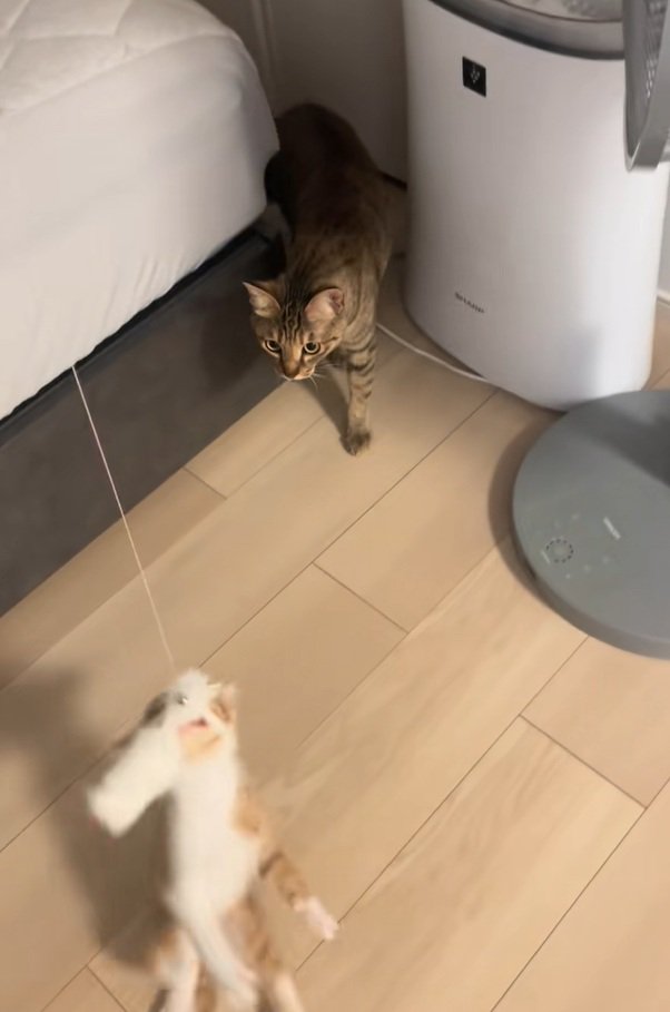 降ろされるいえもんくん