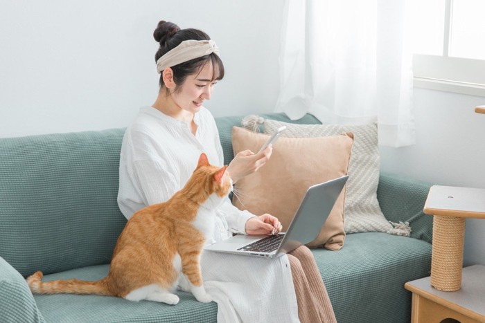 猫と女性