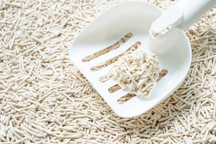 猫砂のかたまり