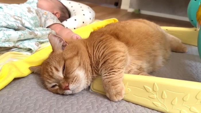 寝顔のアップ