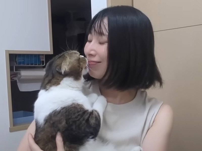 顔を舐める猫