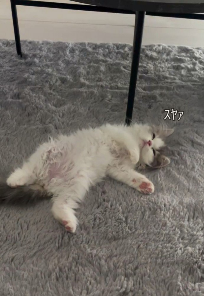 「スヤァ」と書かれた写真