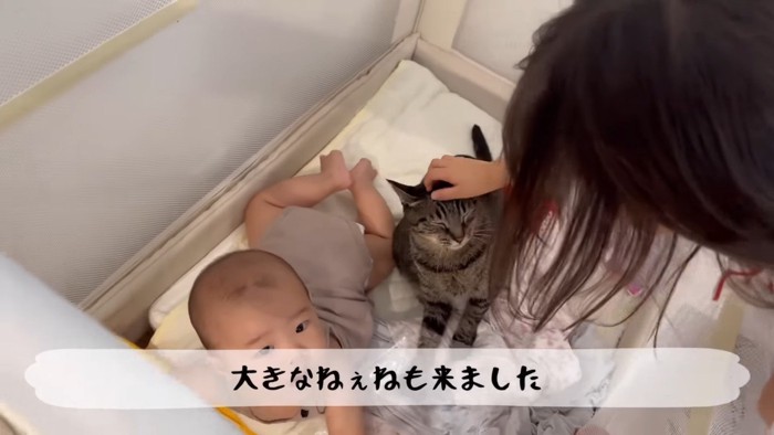 大きなねぇねも