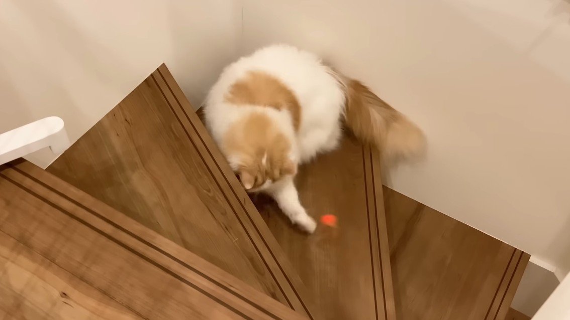 おもちゃにタッチ