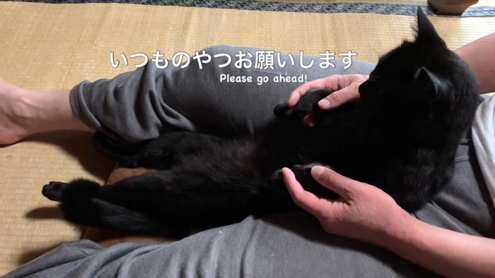 マッサージを待つ猫