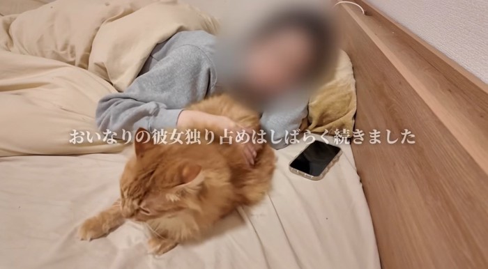 布団の上で人間に甘える猫