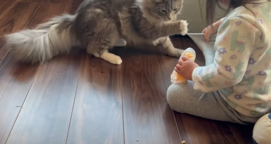 子供のズボンに爪が引っかかる猫