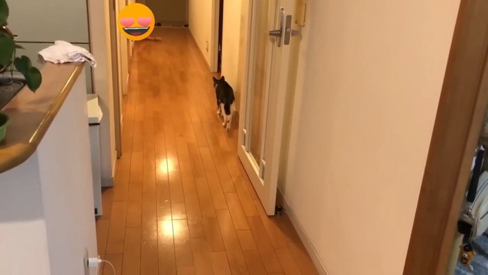 歩いて行く後ろ姿