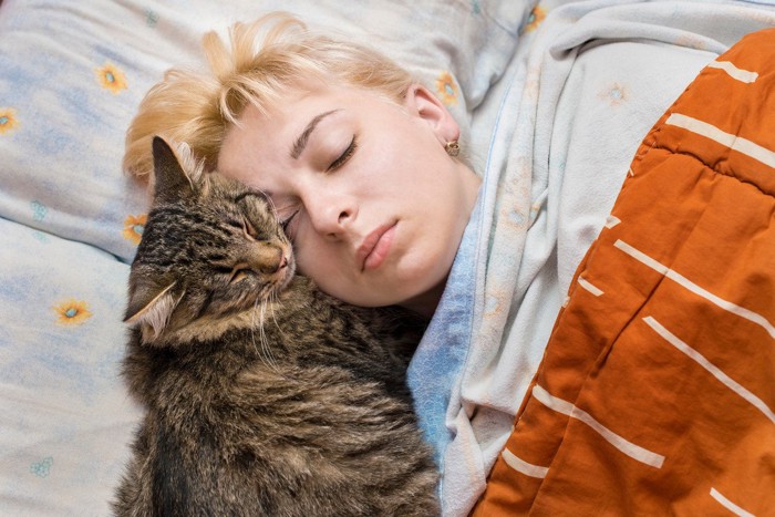 顔をくっつけて寝ている猫と女性