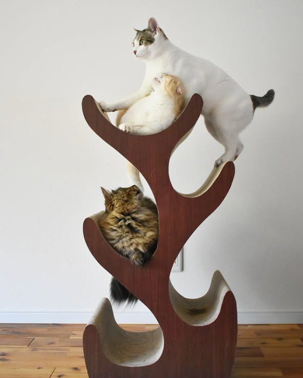 キャットタワーの上にいる猫たち