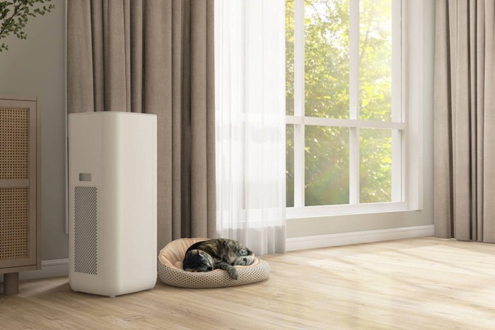 空気清浄機の隣で寝る猫