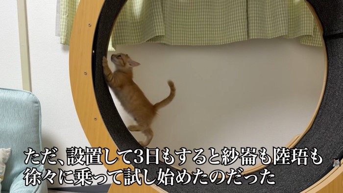 テロップ「ただ、設置して~」