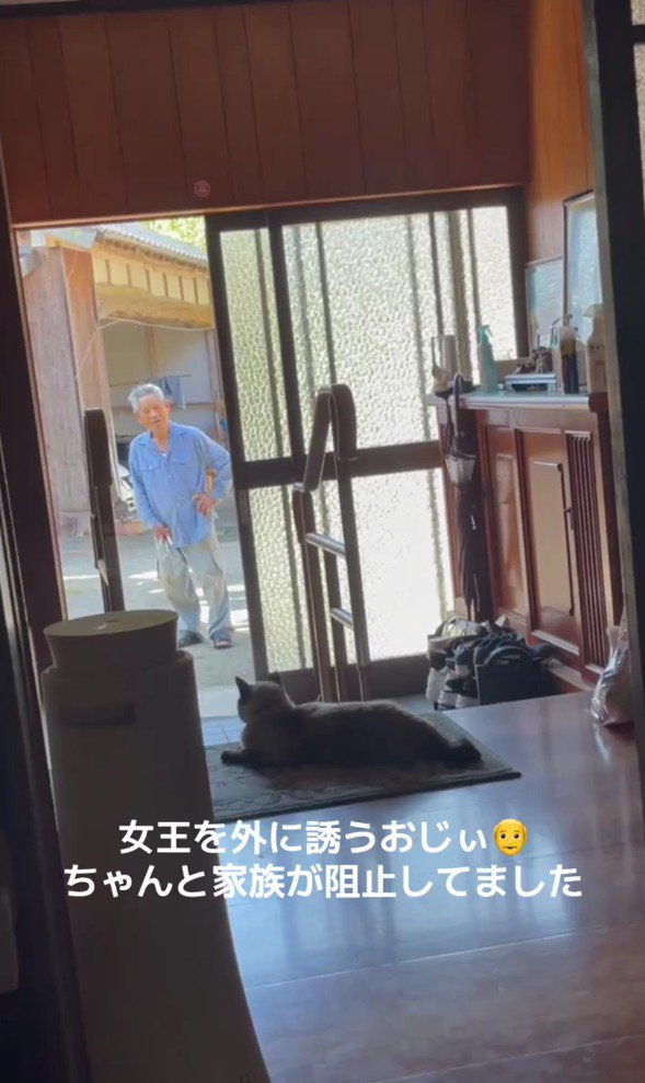 おじいちゃんと猫