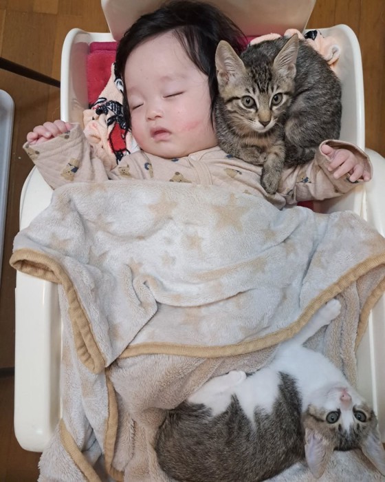 赤ちゃんの足元にいる猫