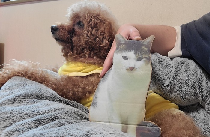 犬と等身大パネル