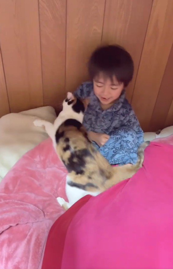 ベッドの上の男の子と猫