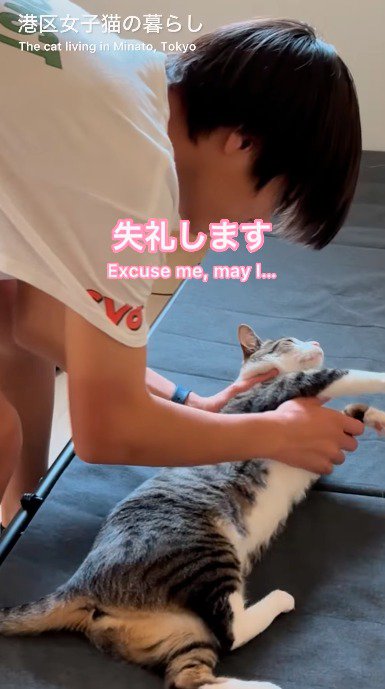 猫の体を支えて、猫を仰向けにする男の子