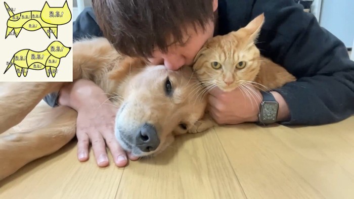 キスされる犬と猫