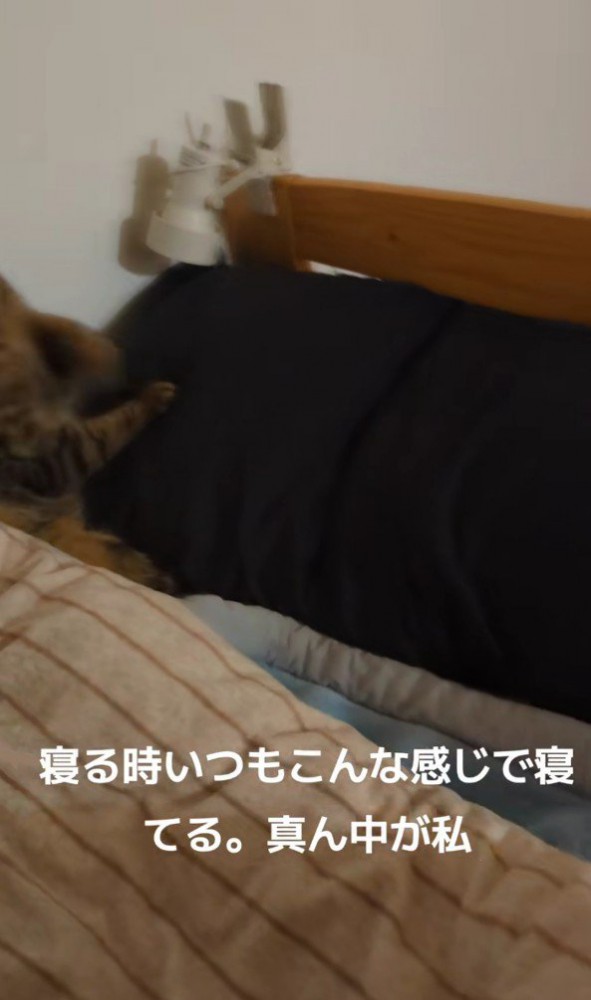 布団と枕がセットされたベッド