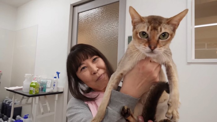 抱っこされる猫