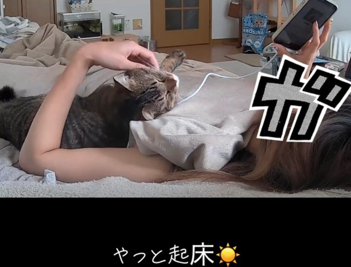甘える猫
